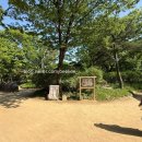 야간)사물놀이 | 5월은 가정의 달 3대가 함께한 용인 한국민속촌 가족 나들이 (feat. 전통혼례 퍼레이드 대만족)