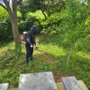 세움 태양광발전소 이미지