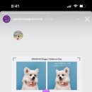 견생유치원 이미지