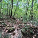 (세종 인근 산) 충북 괴산의 보석산, 칠보산(七寶山)