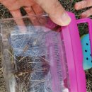 삼광분교 이미지