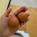 동산가스 | 대구 동산병원 고위험 산모 쌍둥이 제왕절개 3~4일차 후기 - 혼자 걷기/ 일반식 / 초유