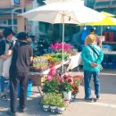 달빛공방 협동조합 이미지