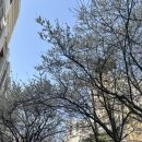 왕십리도선동주민센터 기타 | 퀄리티가 남다른 왕십리 수제도우 피자맛집 보스턴피자하우스