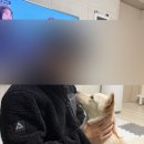 봉곡남로20길-6 네이버블로그