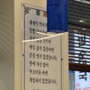 서초왕족발 - 서초구 반포대로30길 43 | 교대역 족발 신의주왕족발순대국 반반 불족발 후기