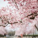 소모천천 이미지