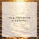 브이의원 이미지