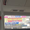 구운자동차나라 이미지