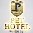 펫브릿지 이미지