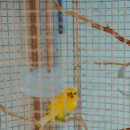 트윈브릿지 이미지