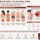 알파앤에너지 네이버블로그