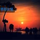 평화모텔 | 강원도 묵호 동해 숙소 펜션 평화모텔 조용한 쉼터로 추천