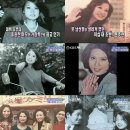골드미스 Daum카페