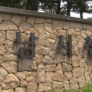 의료법인메디피아메디피움분당의원 이미지