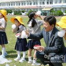 한림초등학교 병설유치원 이미지