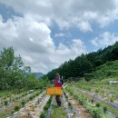 우경기업 이미지