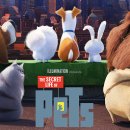 The secret life of pets 2 이미지