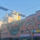 올리브나무 | 대구 꽃시장 불로화훼단지 올리브 나무 구매 후기