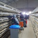 전라도농장 이미지