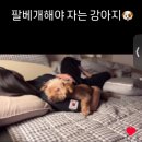 다사다난 설상가상 안좋은 말은 다 붙어야 하는... 8월