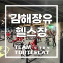 팀터틀랫 상인점 이미지