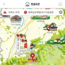 전자 이미지