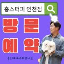 강아지분양 고양이분양 포근퍼피 | 인천강아지분양 인천애견샵 인천애견분양-홍스퍼피