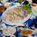 죽변막회 맛집 식당 | [서울/충무로] 영덕회식당 | 막회 맛집 내돈내산 솔직후기