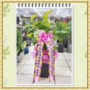 임가정의학과의원 이미지