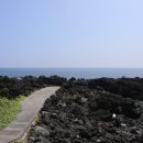 미로돈까스 이미지