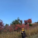 101-1-000020 | 서울 남산 단풍놀이: 회현역 도보 코스 총정리 (feat. 인생샷 스팟 &amp; 맛집 추천)