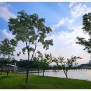 행구수변공원 이미지