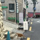 로어네일