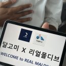 몰디브 로컬섬 다이빙 디구라섬 숙소 호텔 paradisefound 객실 및 4박 리얼 후기!