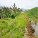 등구농장 이미지