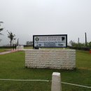 라라피쉬 이미지