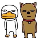 보율 | 김말이야연말이야~