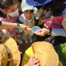 중동반석유치원 이미지