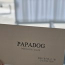 파파독 동해 이미지