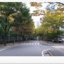 버드내약국 이미지