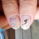 네일시즌(NAIL SEASON)