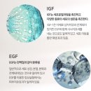 킹스크림 이미지