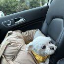 서해동물병원 이미지