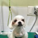 이스턴동물병원 이미지