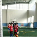 경호태권도교실 이미지