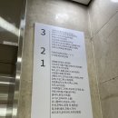 안산 실내데이트 신안코아청년몰 너란플라워 + 넹수집 + 뽀기스트 방문후기