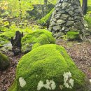 신흥1마을회관 이미지