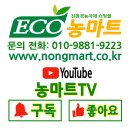 천하체육관 | 세종시 도담동 천하GYM 체육관