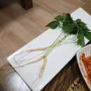 낙지이야기 이미지